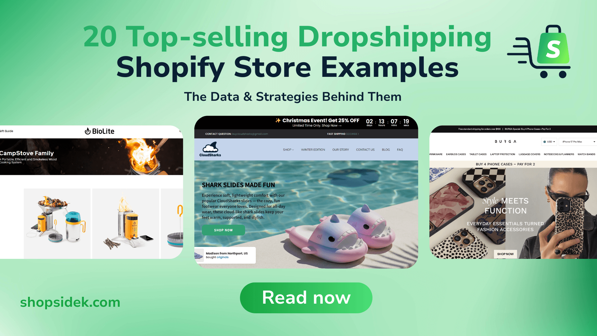 20 Shopify Dropshipping Store Examples