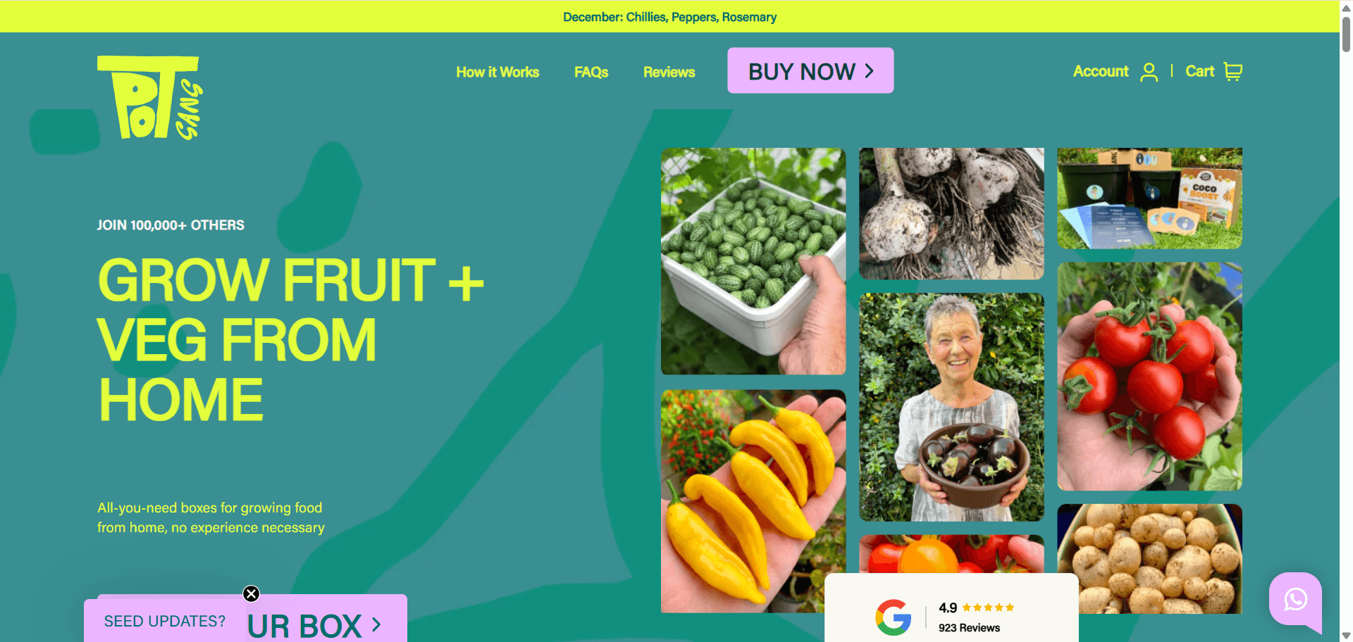 Pot Gang shopify store name