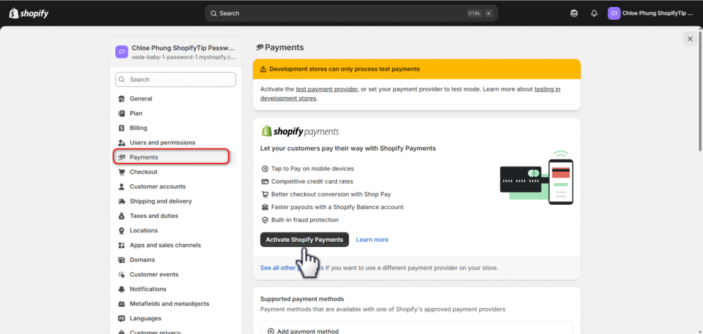 Shopify payments settings