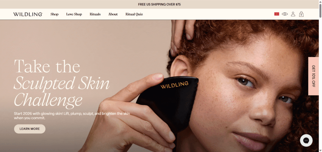 Dawn Shopify theme homepage example