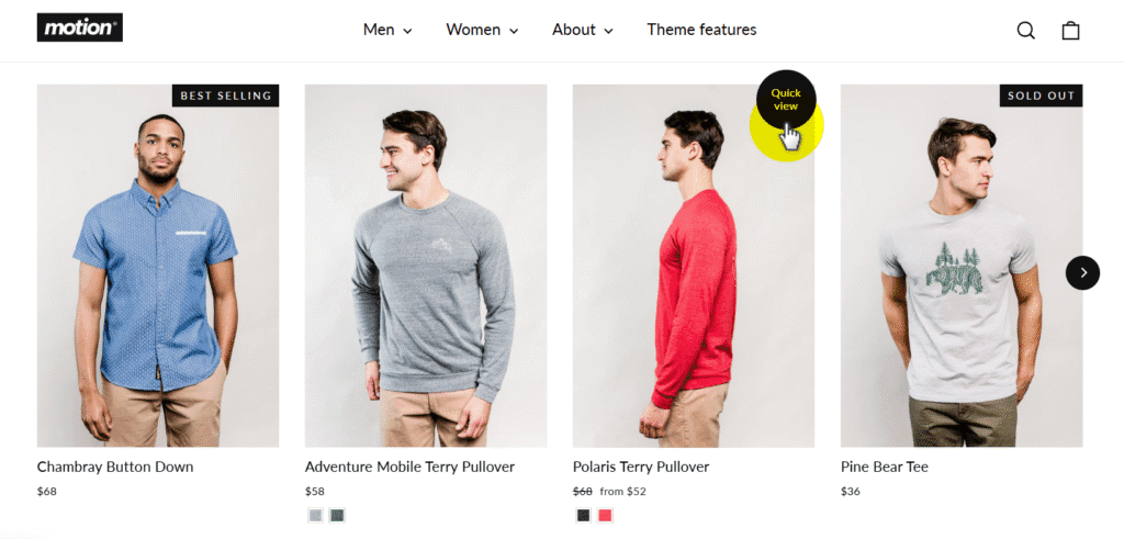 Motion theme quick view feature