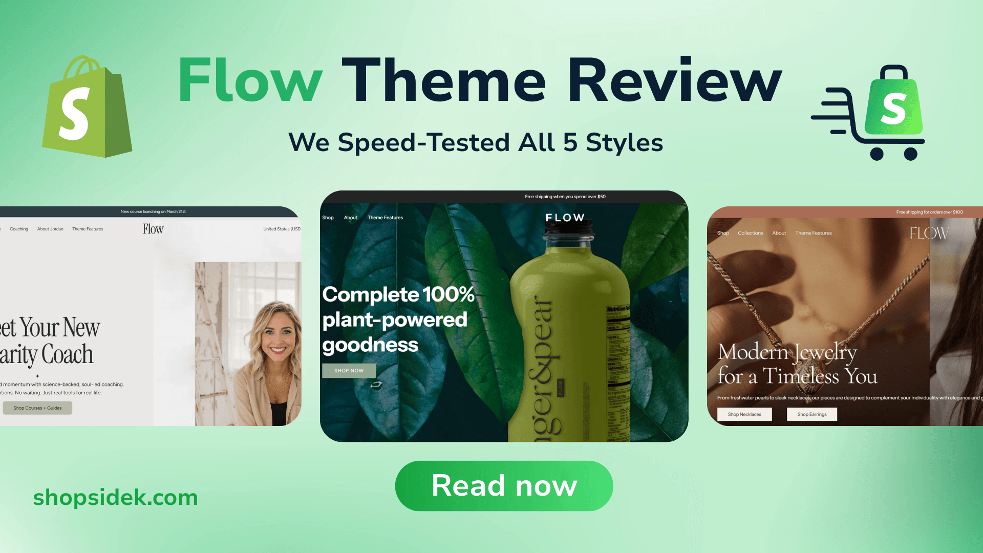 Flow Shopify Theme Review